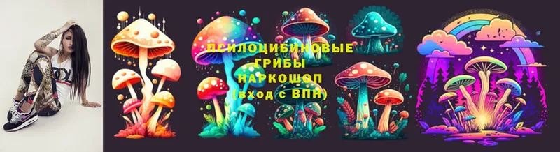 цена   Елизово  Псилоцибиновые грибы ЛСД 